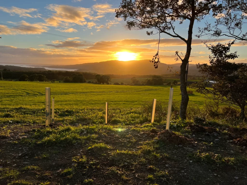 Embrace the enchantment of dusk from the vantage point of our lodge, where the sun paints the sky in hues of warmth and wonder, casting a mesmerizing glow over the landscape as day gracefully transitions into night.