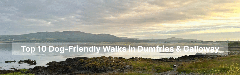 Coastal view at sunset in Dumfries and Galloway with rocky shoreline and hills in the distance.