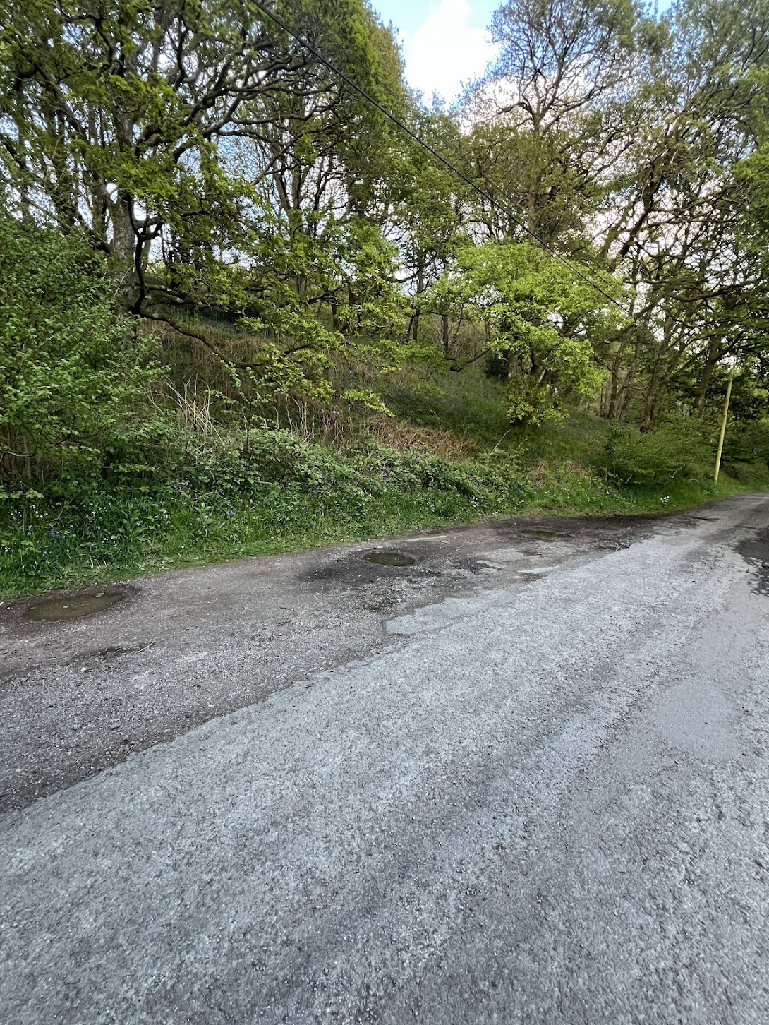 The lay-by parking spot for Carstramon Wood near Gatehouse of Fleet