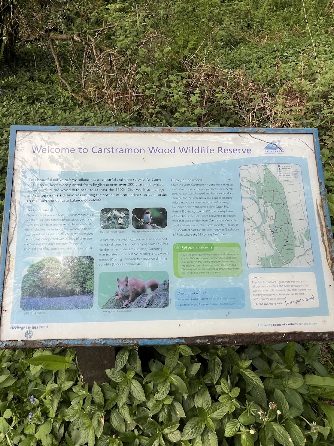 Information board at the entrance to Carstramon Wood Wildlife Reserve, Dumfries and Galloway