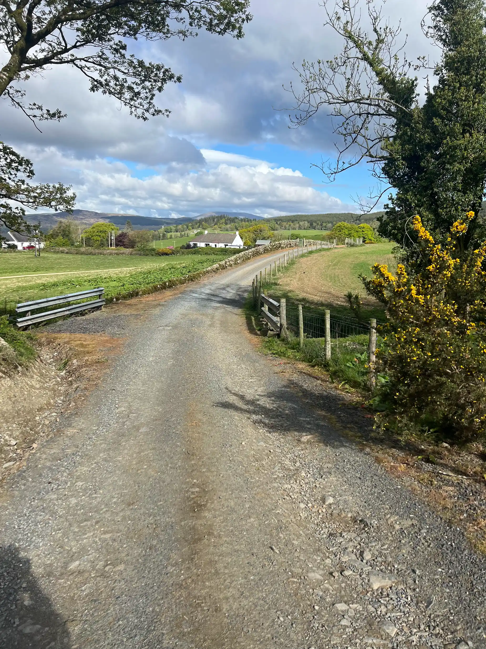 The view from the lodge road looking out over the Galloway countryside toward Gatehouse of Fleet