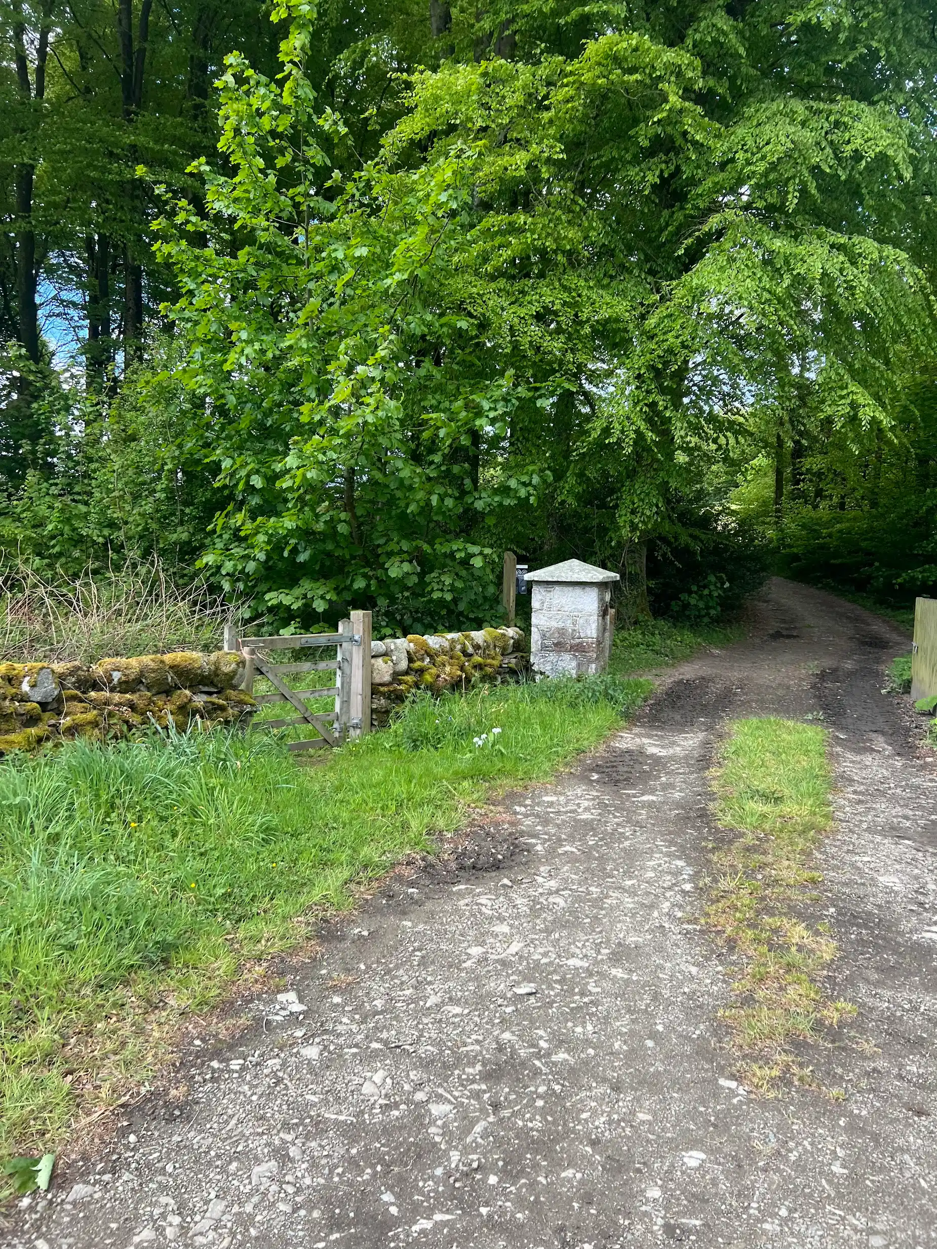 Robbers Gate — the old stone gate pillars marking the entrance to Cally Woods, Gatehouse of Fleet