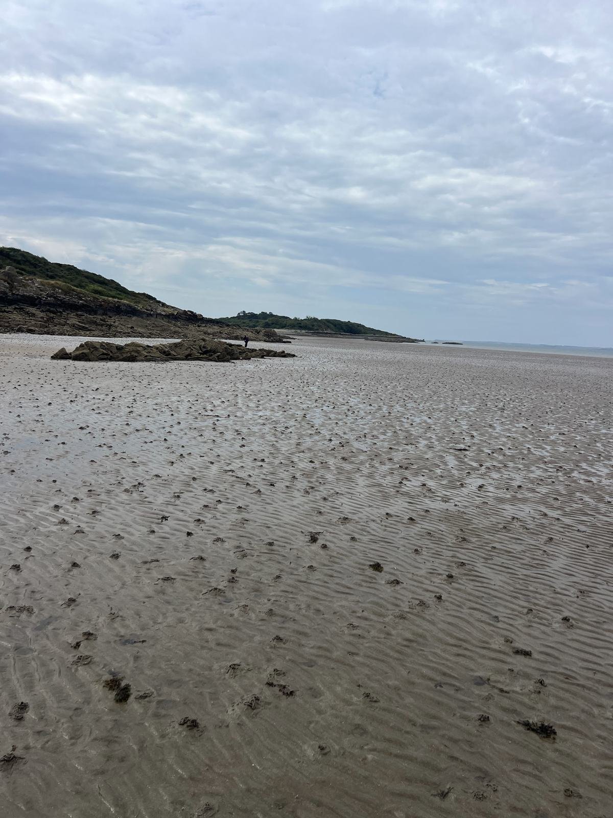 Mudflats at Carrick Bay looking out to Ardwall Isle, Dumfries and Galloway
