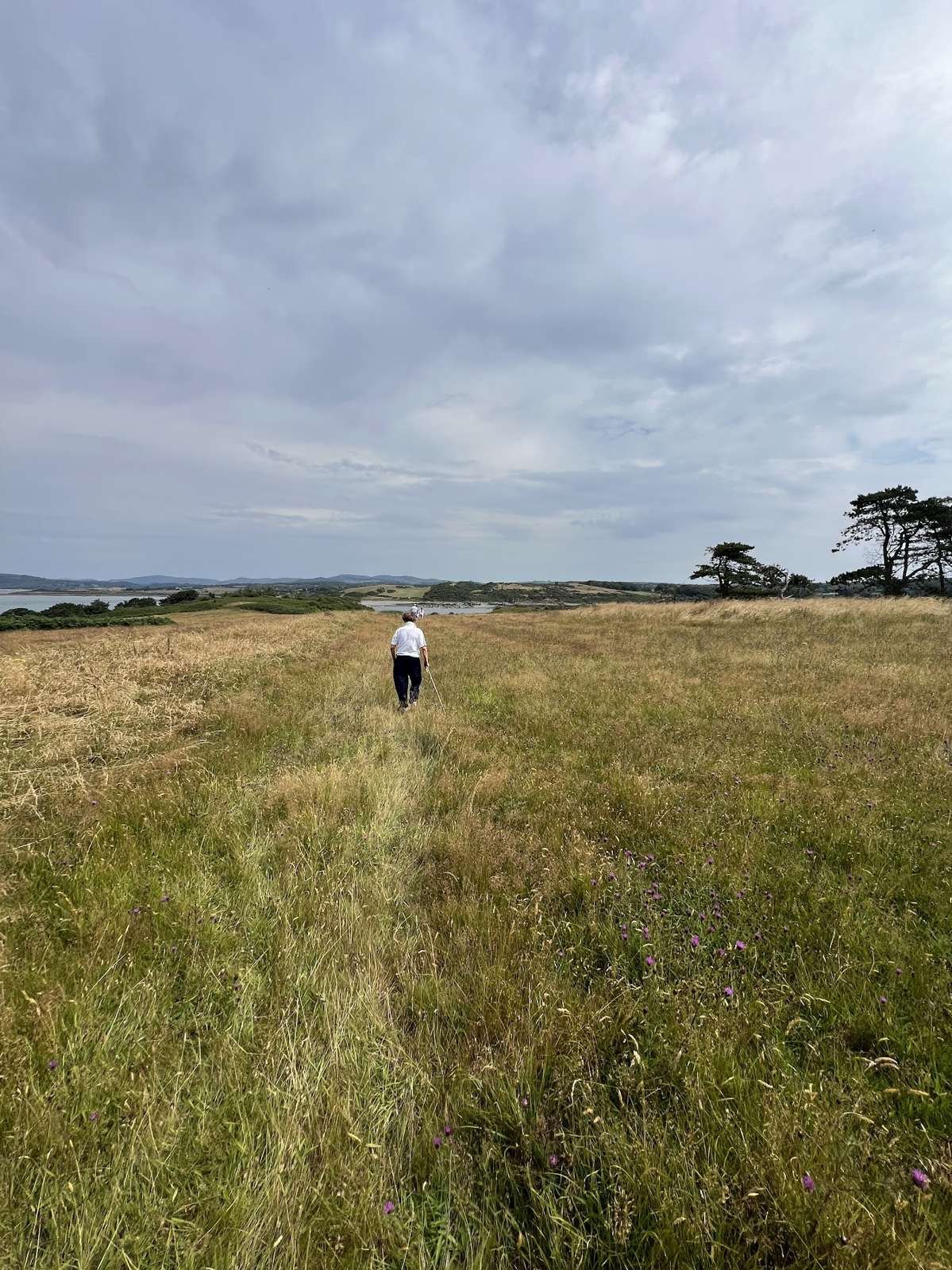 Walking through long grass on Ardwall Isle near Gatehouse of Fleet