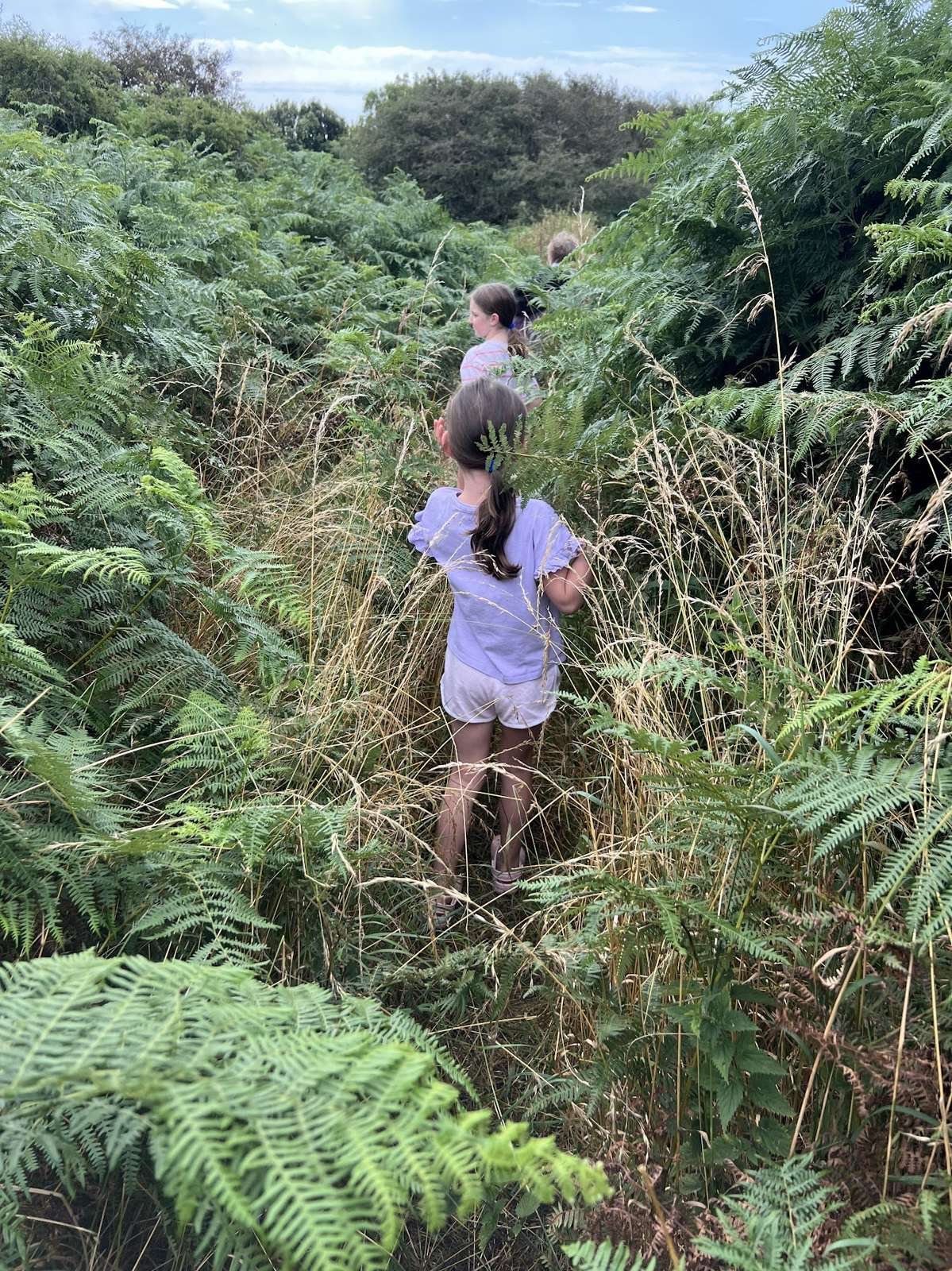 Children walking through overgrown grass on Ardwall Isle