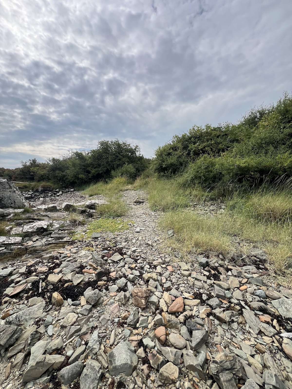 Path from Carrick Beach up onto Ardwall Isle