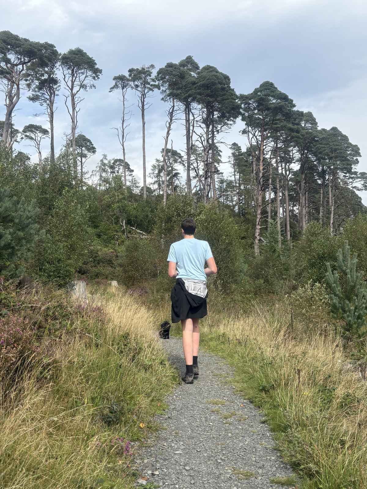 Cameron and Tilly walking up the hill on the Loch Trool walk