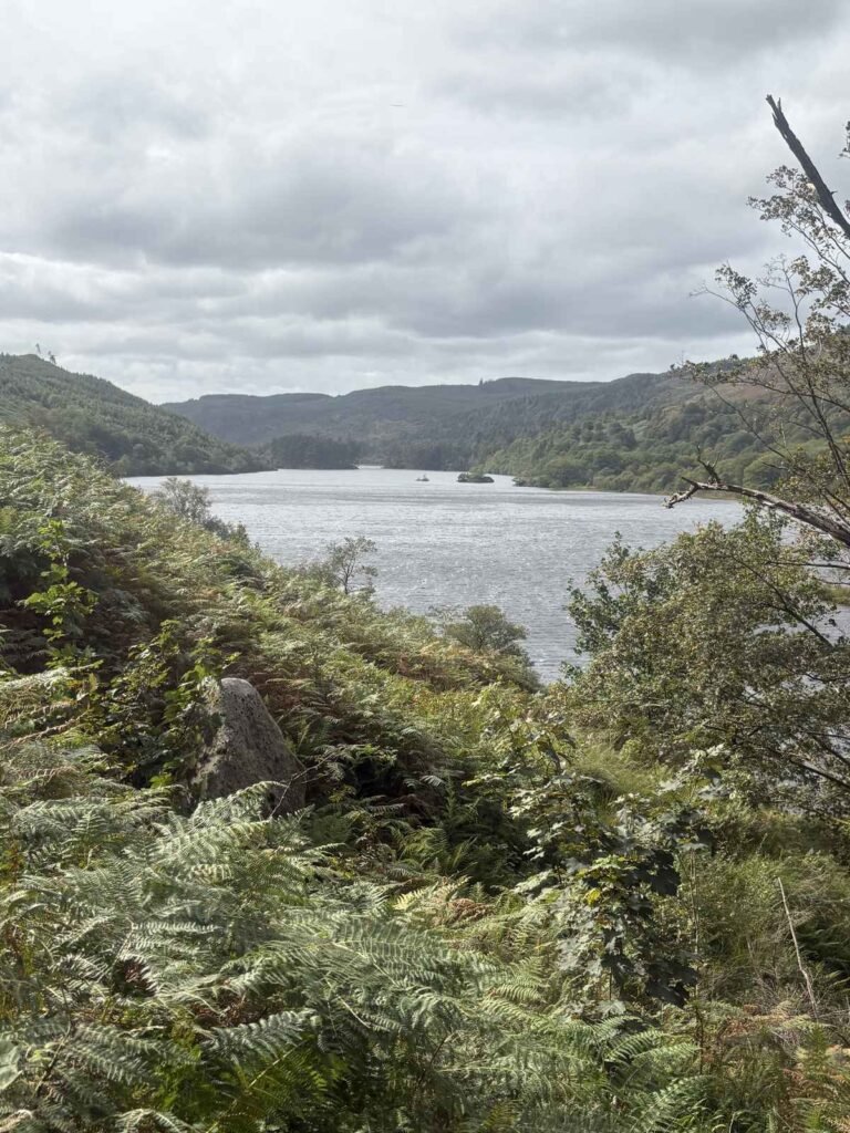 View across Loch Trool, Galloway Forest Park